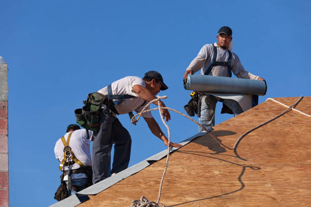 Best Roof Gutter Cleaning  in Weyers Cave, VA